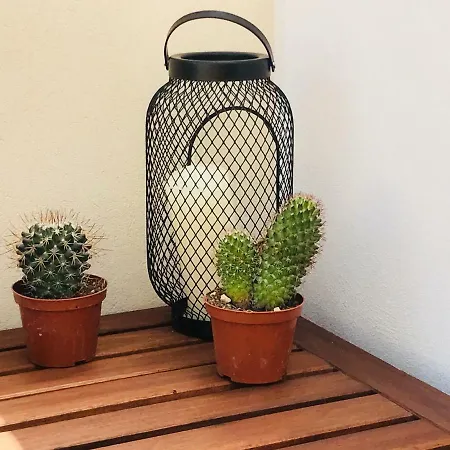 Olivella Con Terrazza